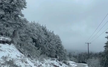 kairos2 11012026 1200x630.jpg