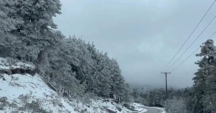 kairos2 11012026 1200x630.jpg