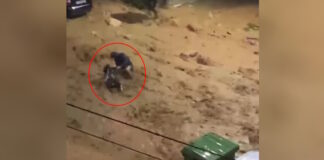 kakokairia anw glufada9 1200x630.jpg