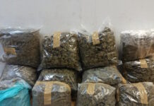 kannavi 09012026 1200x630.jpg