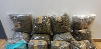 kannavi 09012026 1200x630.jpg