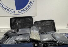 kannavi narkotika 1200x630.jpg