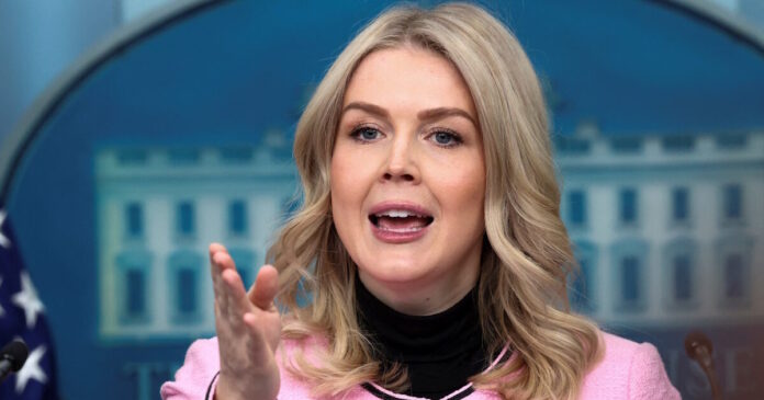 karoline levitt 1200x630.jpg