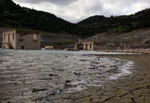 kshrasia eurok 1200x630.jpg