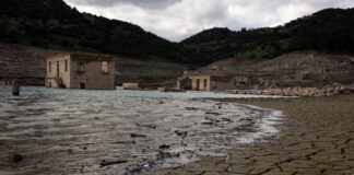 kshrasia eurok 1200x630.jpg