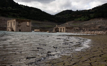 kshrasia eurok 1200x630.jpg