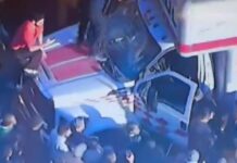 la fortigo 1 1200x630.jpg