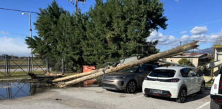 lamia anemoi zimies 1200x630.jpg