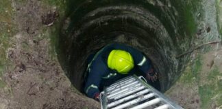 larisa skylos pigadi 1 1200x630.jpg