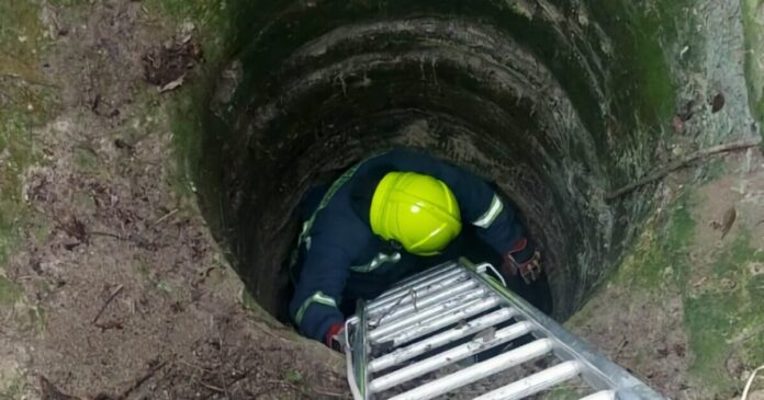 larisa skylos pigadi 1 1200x630.jpg