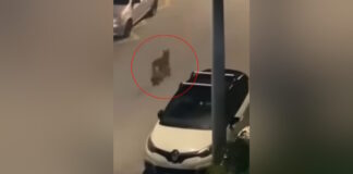 likos45 1200x630.jpg