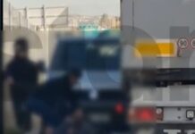 likovrisi 1200x630.jpg