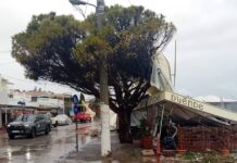 marathonas paralia 1200x630.jpg