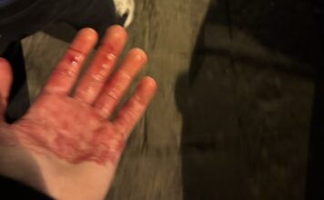 maxairomata 1200x630.jpg