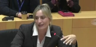 meleti arxiki 1200x630.jpg