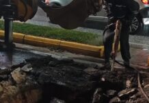 melissia 1200x630.jpg