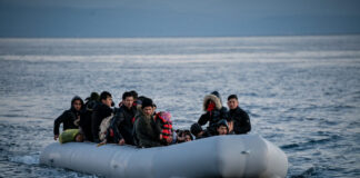 metanastes eurok 1200x630.jpg