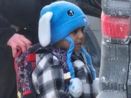 minnesota 5xronos liam 1 1200x630.jpg