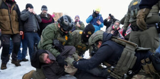 minnesota8 1200x630.jpg