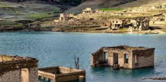 mornos 24012026 1200x630.jpg