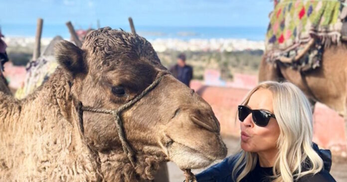 mpekatorou arxiki 1200x630.jpg