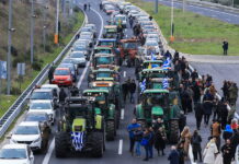 mploka 3 1200x630.jpg