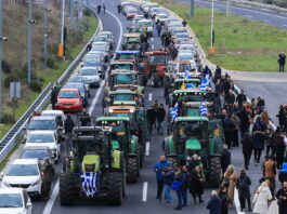 mploka 3 1200x630.jpg