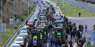 mploka 3 1200x630.jpg