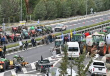 mploka agrotes eurok 1200x630.jpg