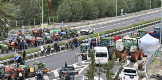 mploka agrotes eurok 1200x630.jpg