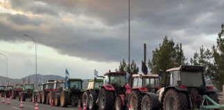 mploka thiba 1200x630.jpg