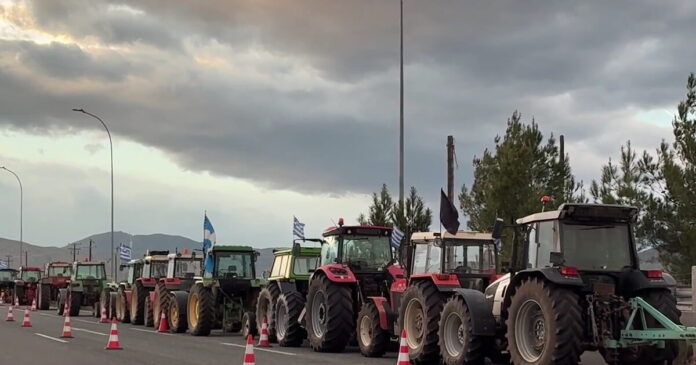 mploka thiba 1200x630.jpg