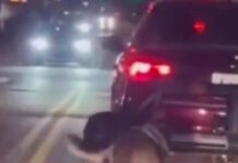 nea yorkh 1200x630.jpg