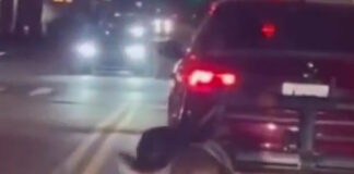 nea yorkh 1200x630.jpg