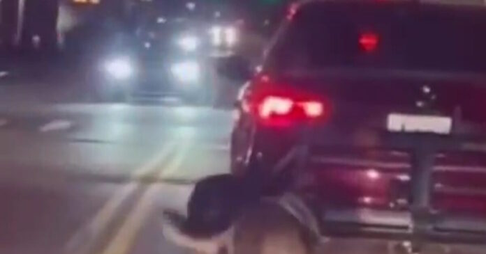 nea yorkh 1200x630.jpg