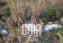 nekra provata1 1200x630.jpg