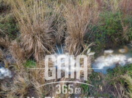 nekra provata1 1200x630.jpg