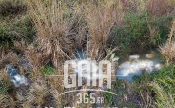 nekra provata1 1200x630.jpg