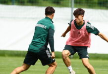 nempis 2 1200x630.jpg