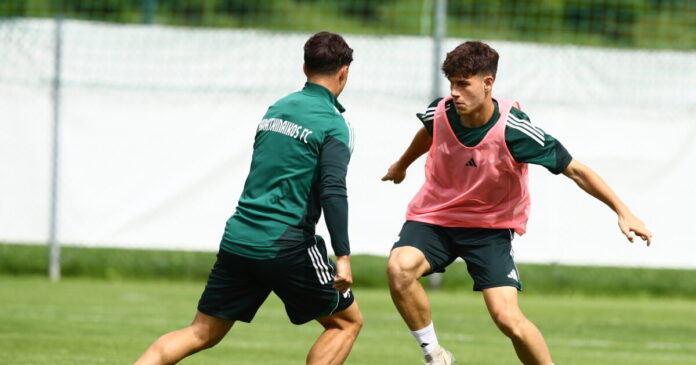 nempis 2 1200x630.jpg