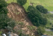 new zealand reuters 1200x630.jpg