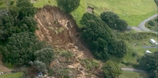 new zealand reuters 1200x630.jpg