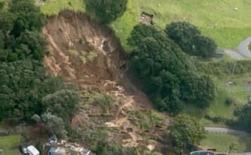 new zealand reuters 1200x630.jpg