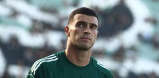 nikas 1 1200x630.jpg