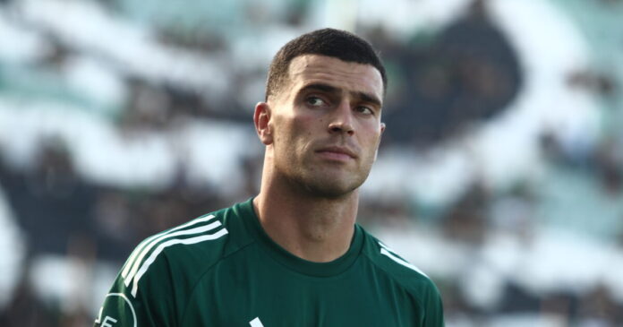 nikas 1 1200x630.jpg