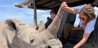 ninaflor arxiki 1200x630.jpg