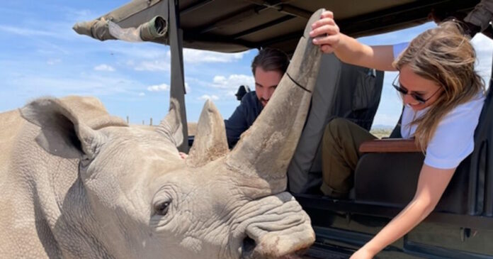 ninaflor arxiki 1200x630.jpg