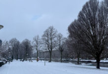 ollandia xionia r1 1200x630.jpg