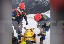 oreivates taigetos 1 1200x630.jpg