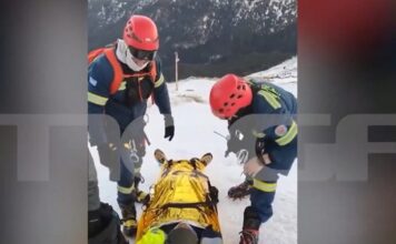 oreivates taigetos 1 1200x630.jpg